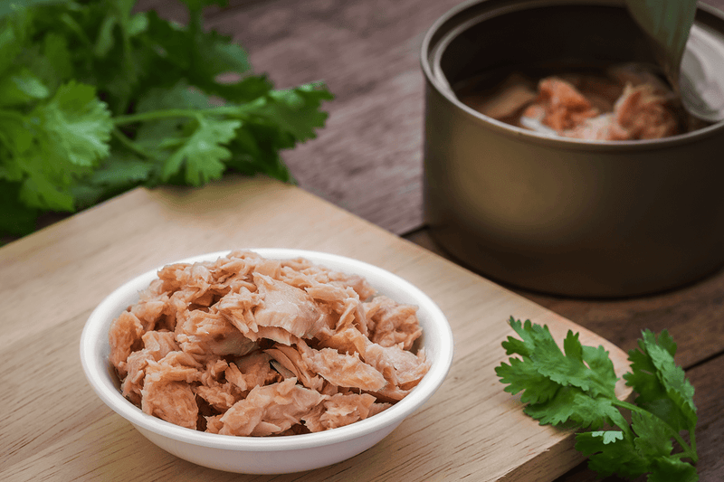post blog artigo beneficios do atum em conserva