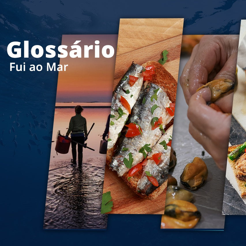 Glossário Fui ao Mar