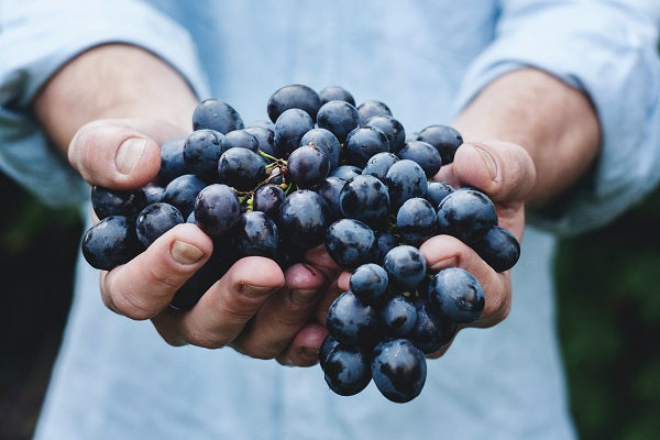 blog-fui-ao-mar-harmonize-uva-fabricação-de-vinhos