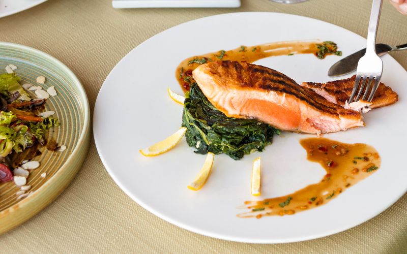 Como a gastronomia contribuiu para a evolução da espécie humana?
