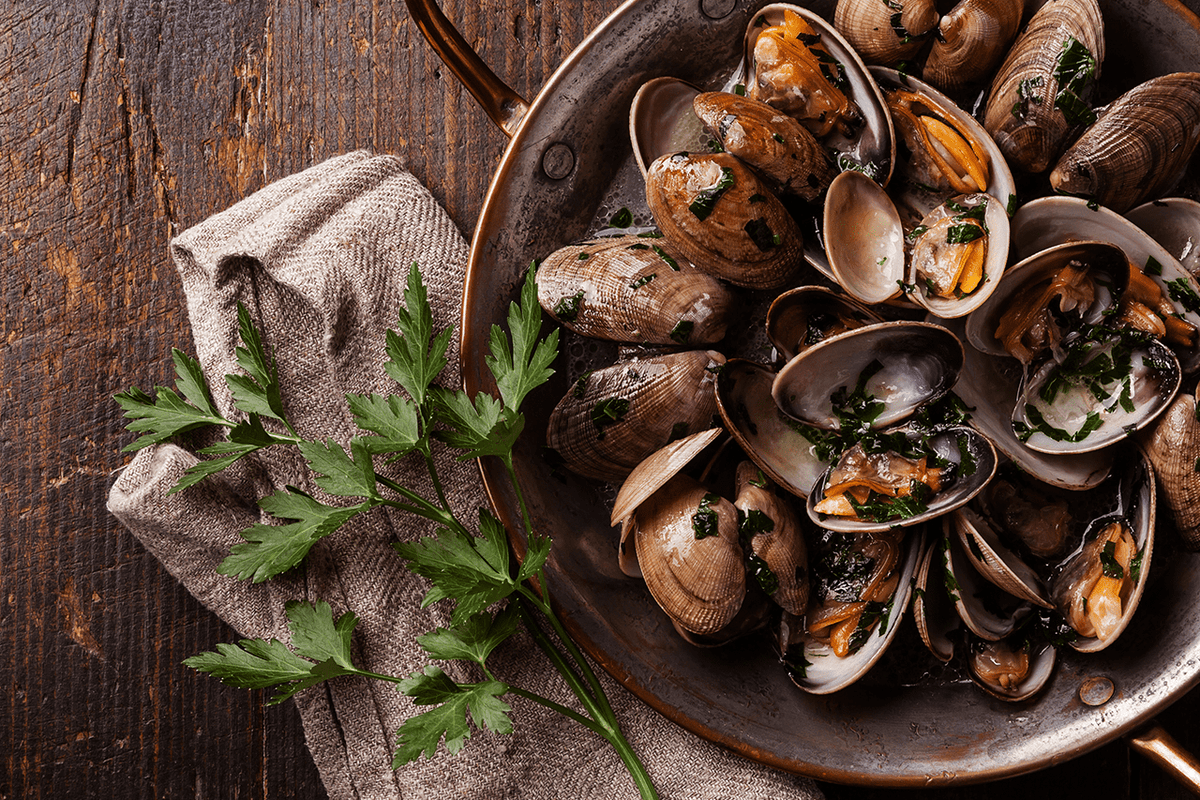Berbigão em conserva: conheça as curiosidades da pesca e da produção