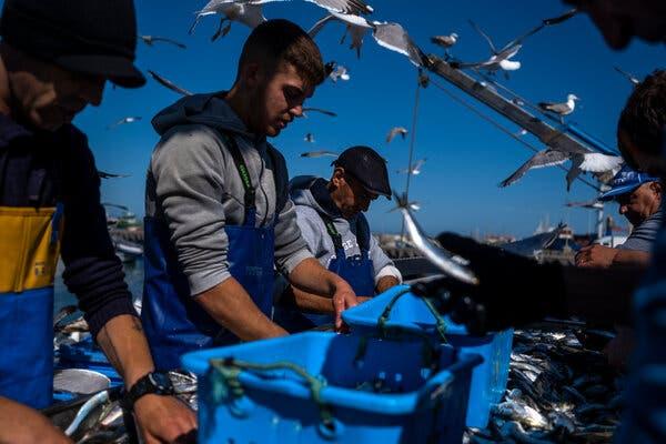 homens-trabalhando-na-pesca-de-sardinha-Daniel-Rodrigues-para-The-New-York-Times